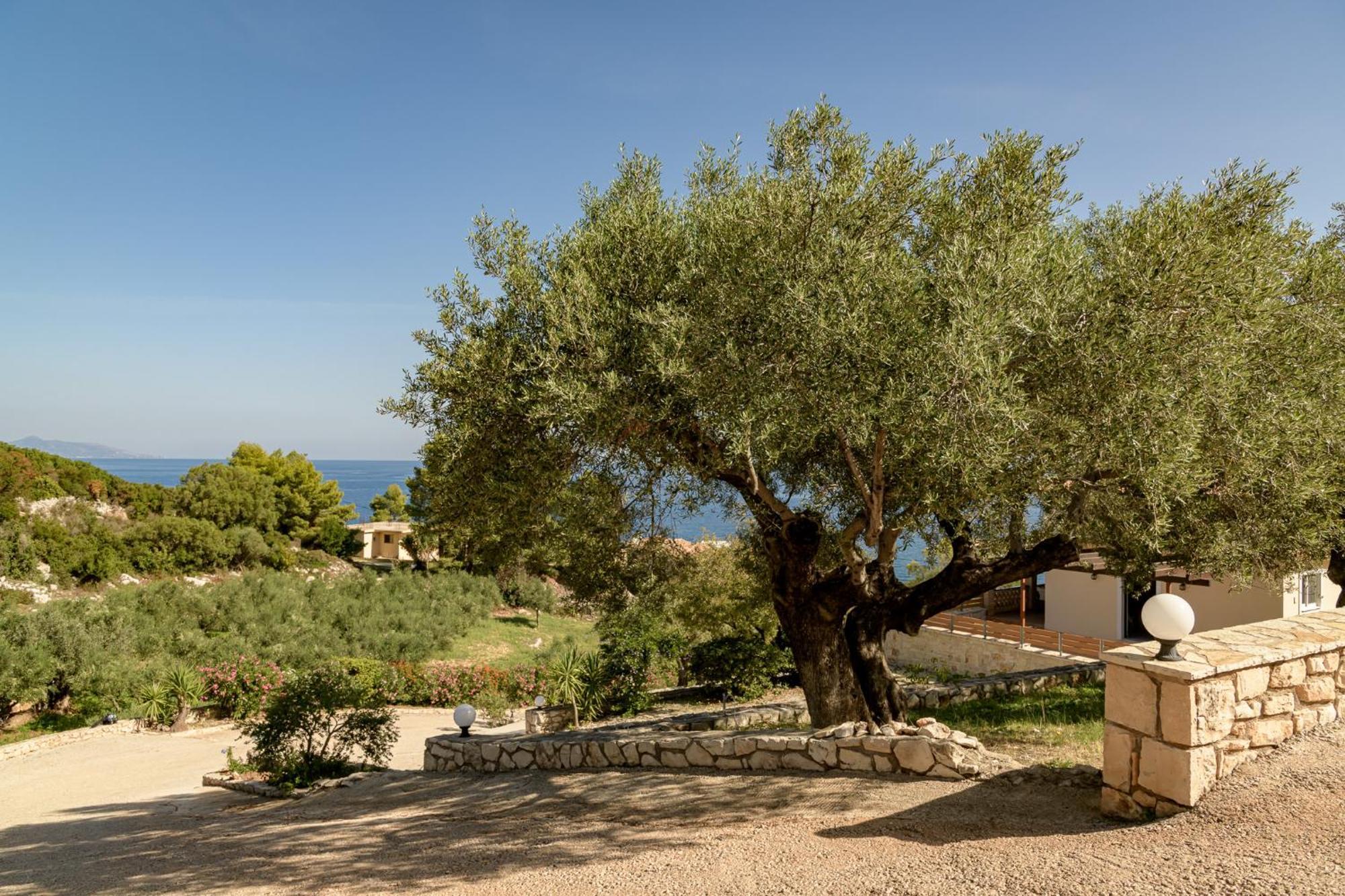 Villa Mare Studios Skinaria Экстерьер фото